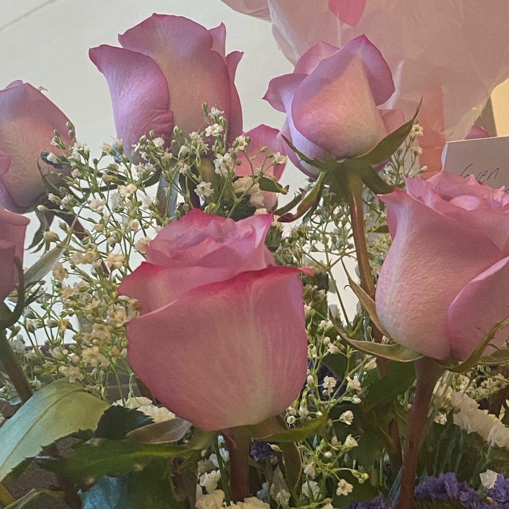 Meet your Posher, Gwendolyn